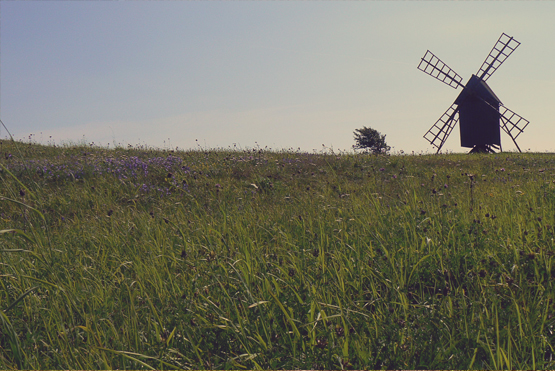 Molen op Öland
